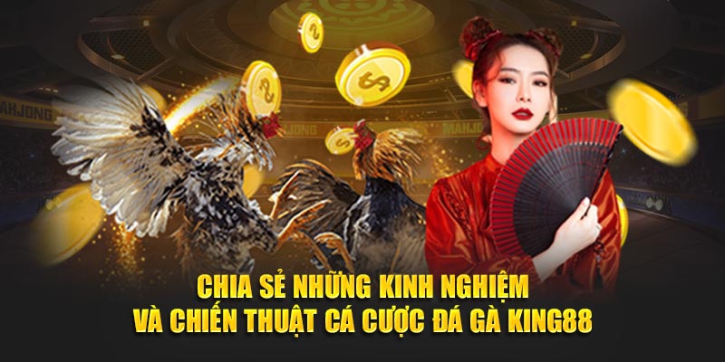 Chia sẻ những kinh nghiệm và chiến thuật cá cược đá gà KING88