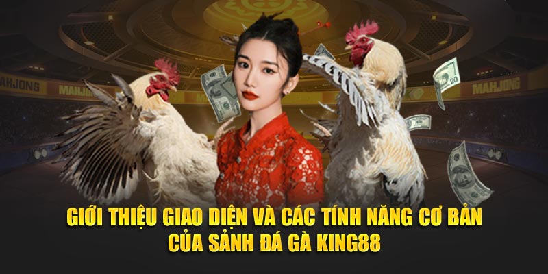 Giới thiệu giao diện và các tính năng cơ bản của sảnh đá gà KING88