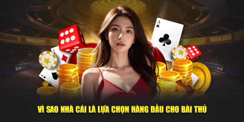 Vì sao nhà cái là lựa chọn hàng đầu cho bài thủ