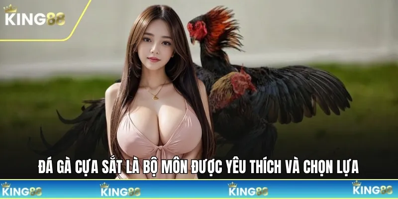 Đá gà cựa sắt là bộ môn được yêu thích và chọn lựa
